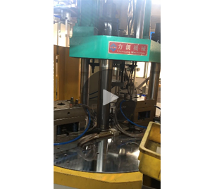 電機(jī)轉(zhuǎn)子全自動(dòng)注塑